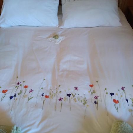 Les Dames De La Saugiat Bed & Breakfast Le Fied Ngoại thất bức ảnh