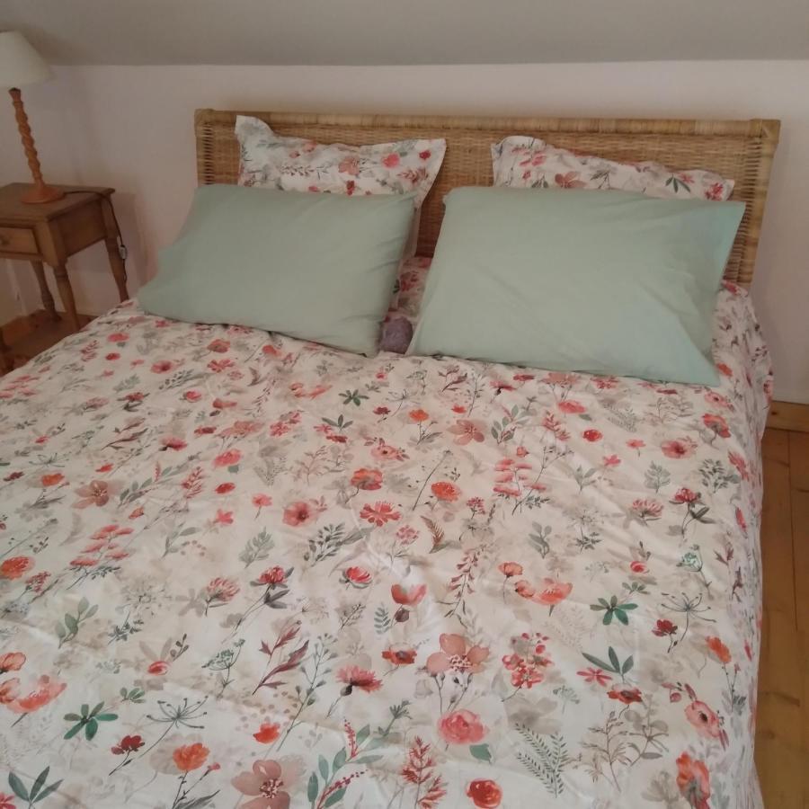 Les Dames De La Saugiat Bed & Breakfast Le Fied Ngoại thất bức ảnh