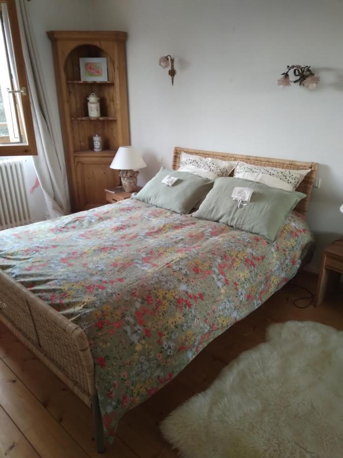 Les Dames De La Saugiat Bed & Breakfast Le Fied Ngoại thất bức ảnh